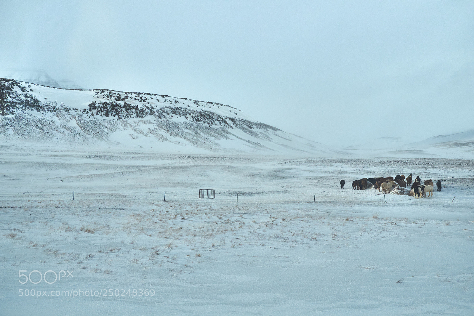 Fujifilm X-Pro1 sample photo. Iceland 6.jpg photography