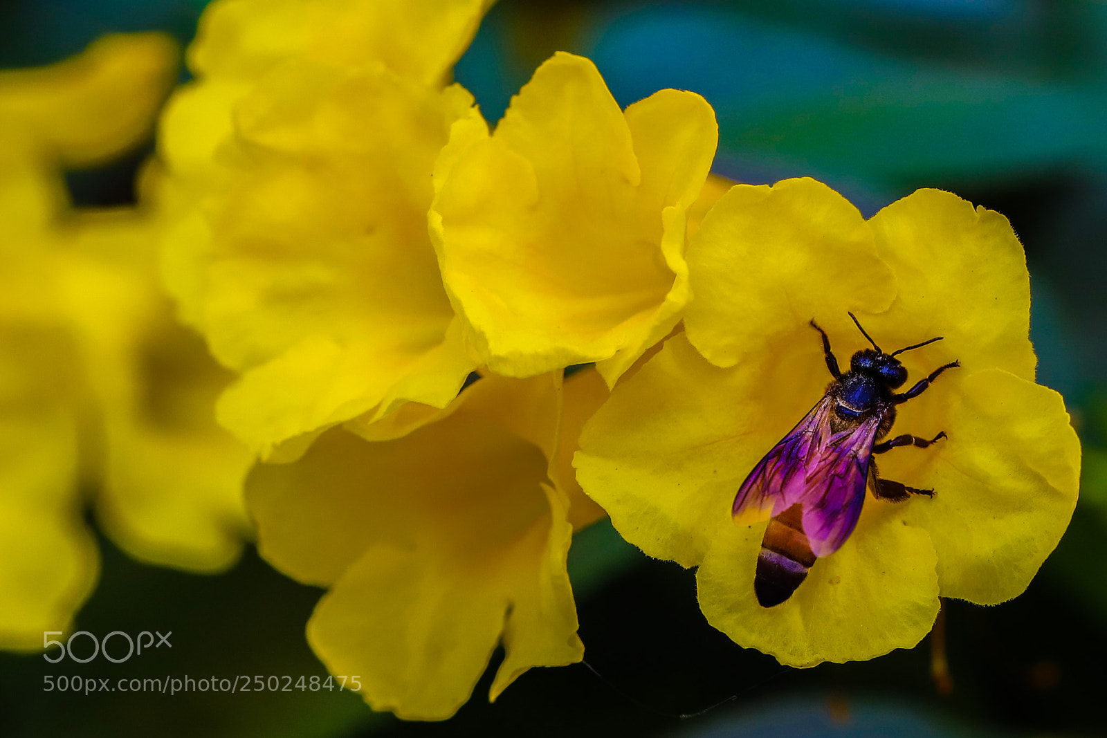 Canon EOS 6D Mark II sample photo. Untitled photography