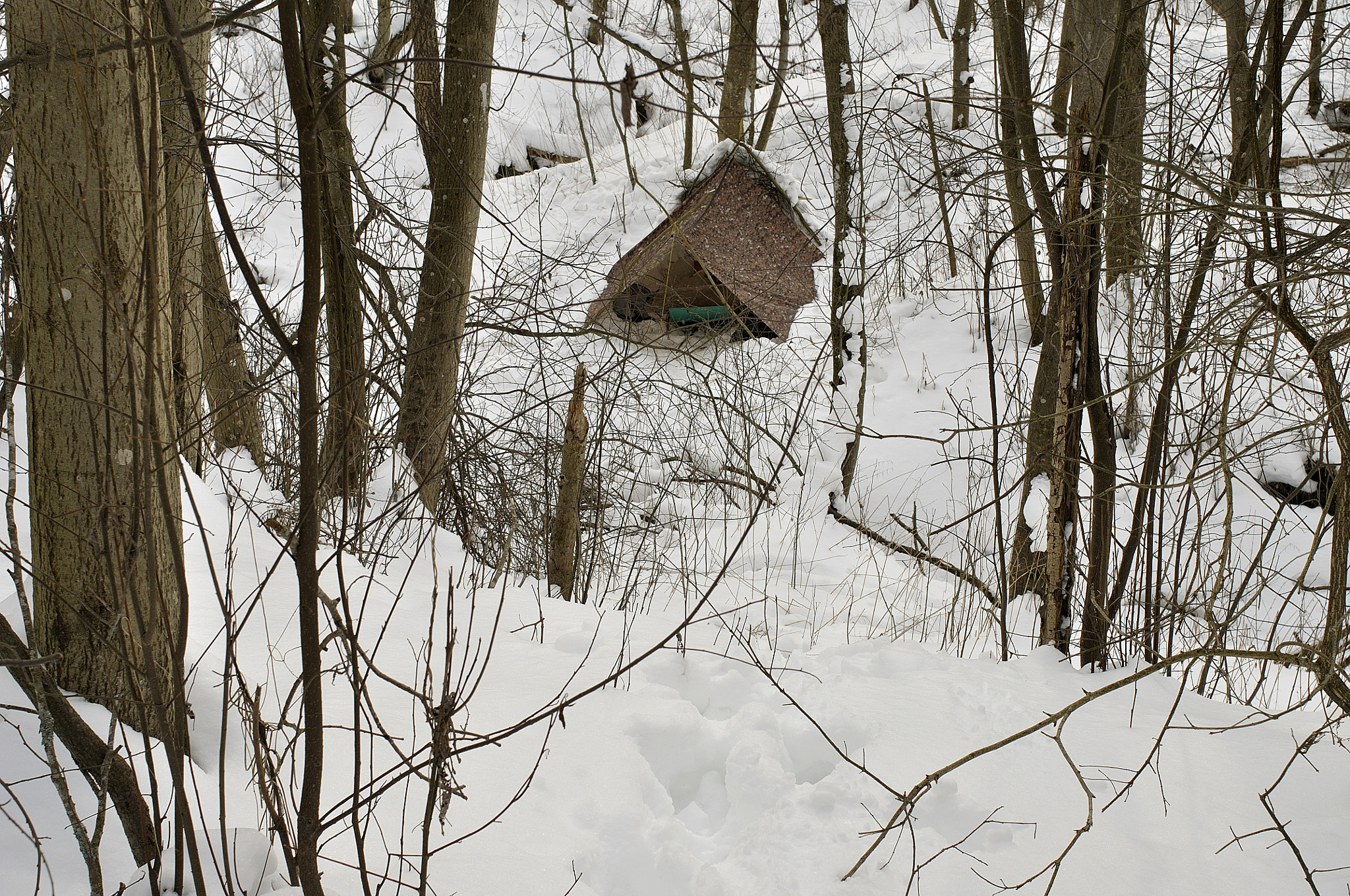 Nikon D90 + Nikon AF Nikkor 35mm F2D sample photo. My camp on the creek gorodets photography