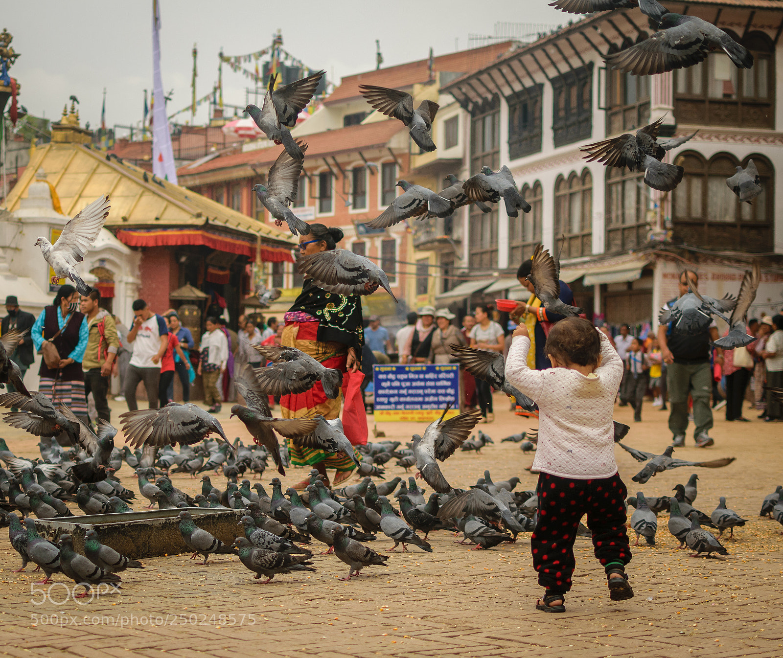 Nikon D5300 sample photo. Kid playing at baudhanath photography