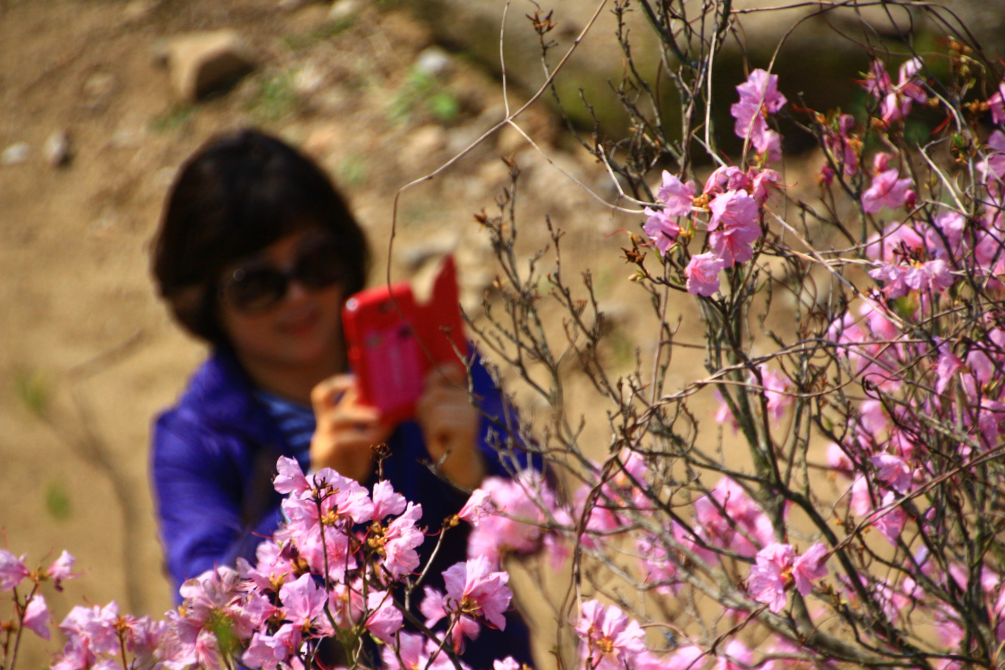 Canon EOS 650D (EOS Rebel T4i / EOS Kiss X6i) sample photo. Img photography