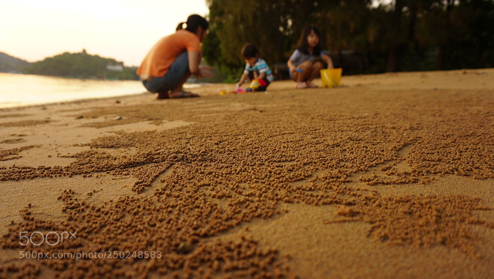 Sony a6000 sample photo. Dsc sand ball photography