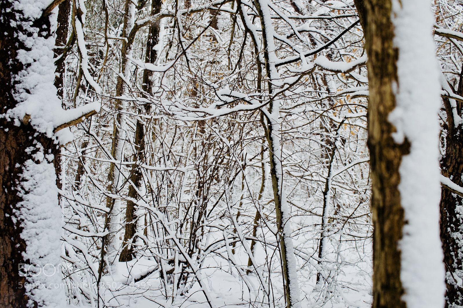 Nikon D3100 sample photo. Traversing photography