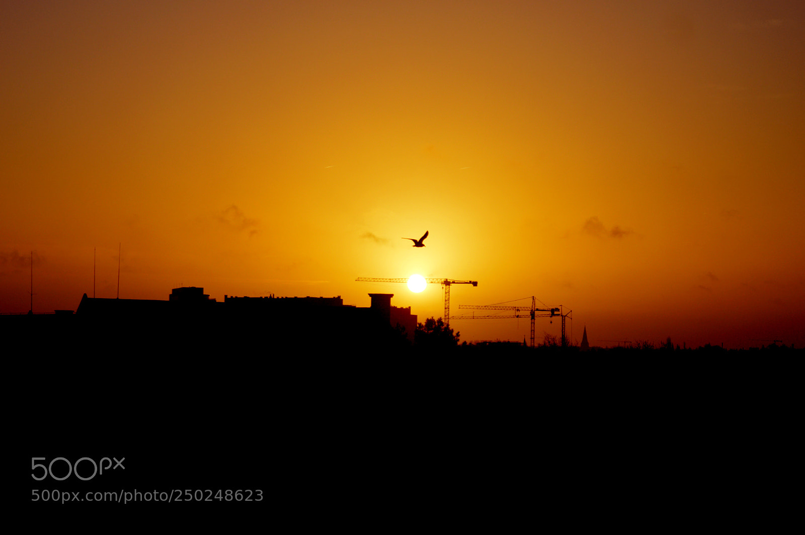Nikon D3200 sample photo. In flight photography