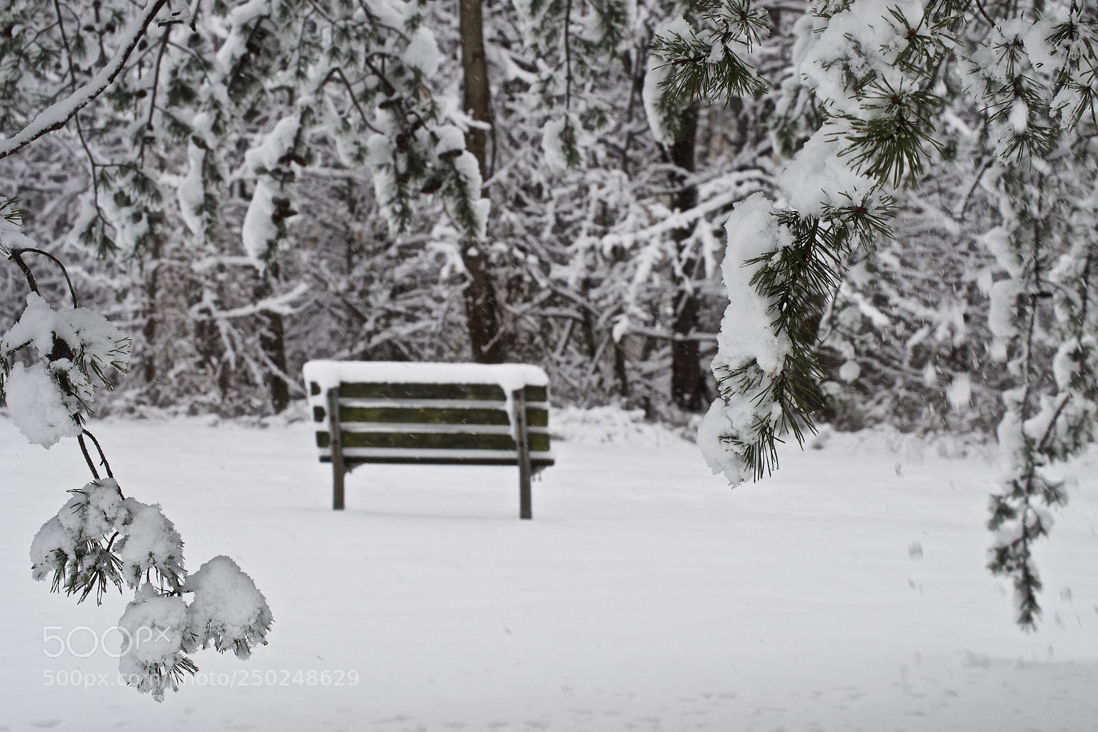Nikon D3100 sample photo. A calm place photography