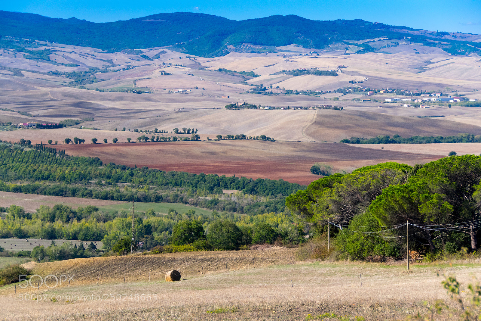 Nikon D3300 sample photo. Autumn. tuscany. photography