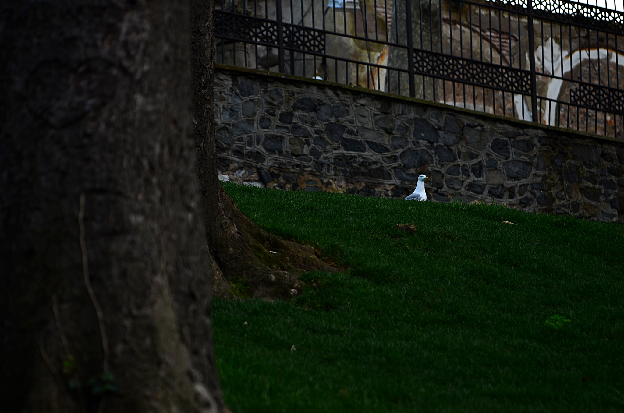 Nikon D7000 sample photo. Oa34 photography