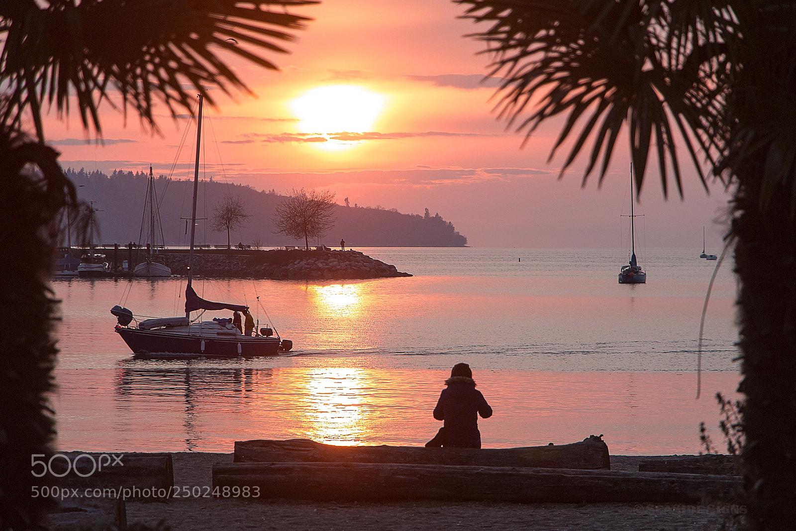 Canon EOS 70D sample photo. Spring sunset  vancouver bc photography