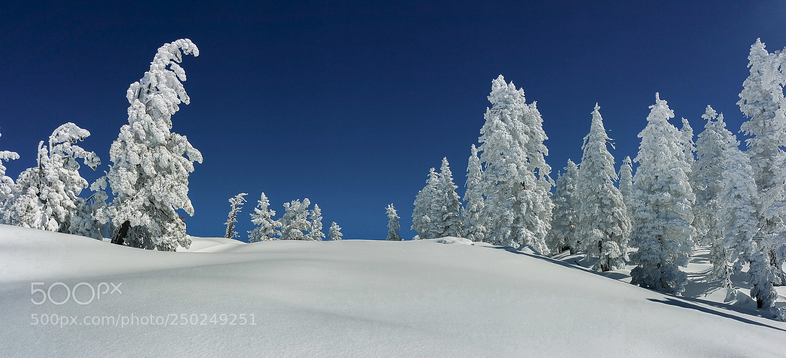 Samsung Galaxy Note4 sample photo. Rime and snow photography