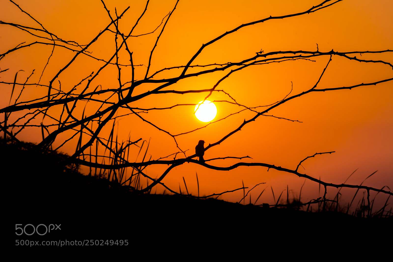 Nikon D7100 sample photo. Sunrise photography