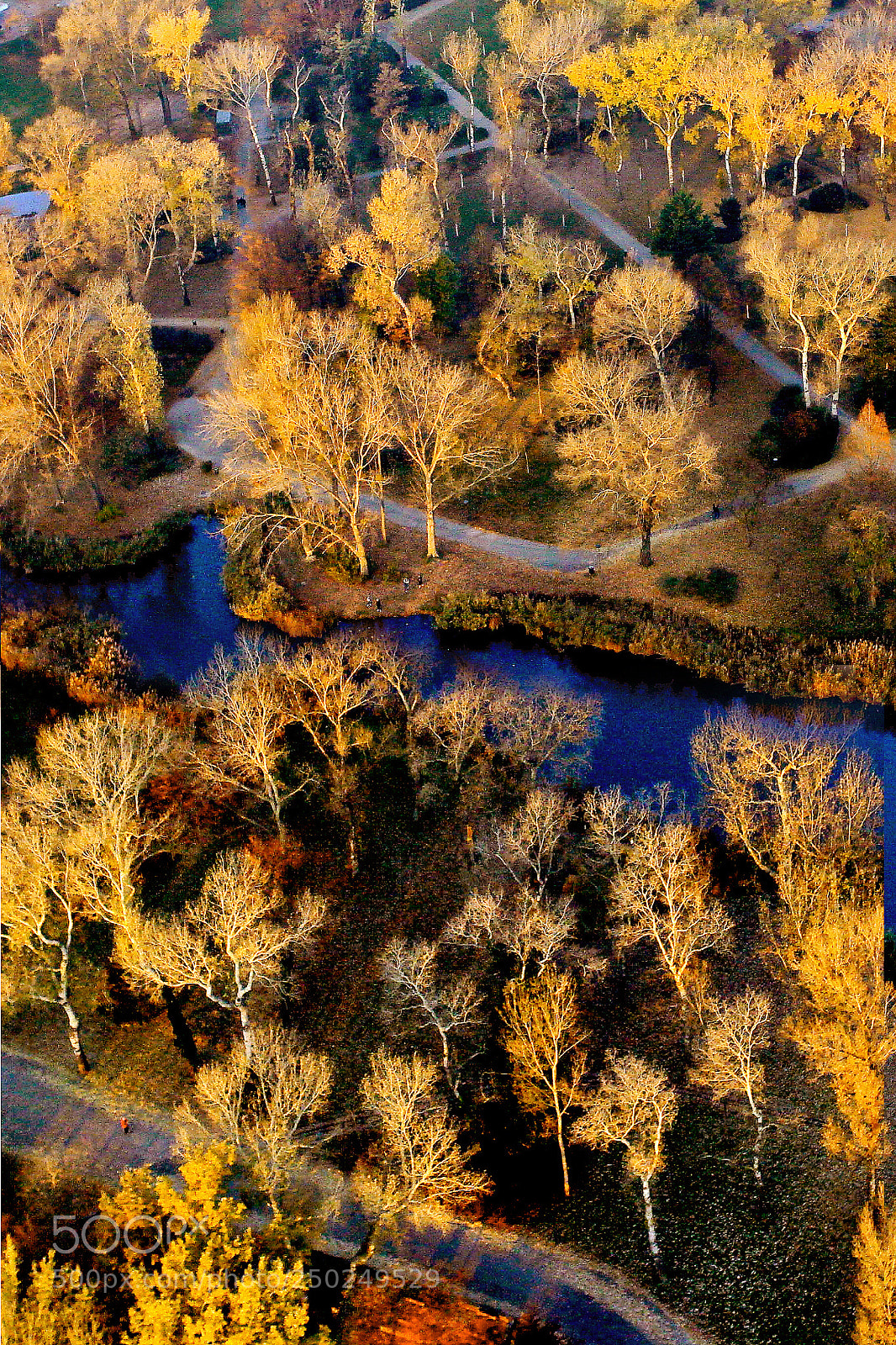 Canon EOS 5D Mark II sample photo. Autumn photography