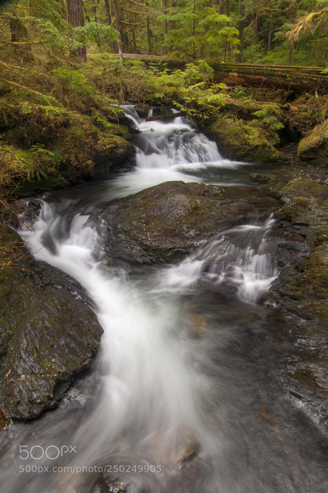 Nikon D2X sample photo. Rushing creek photography