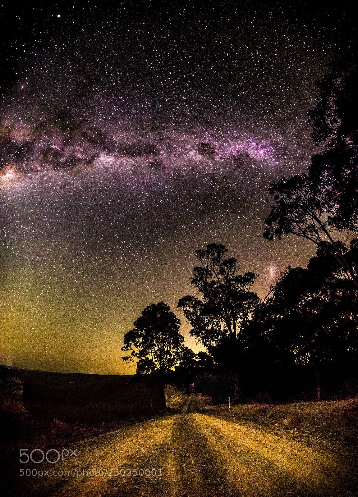 Nikon D500 sample photo. Murchison road photography