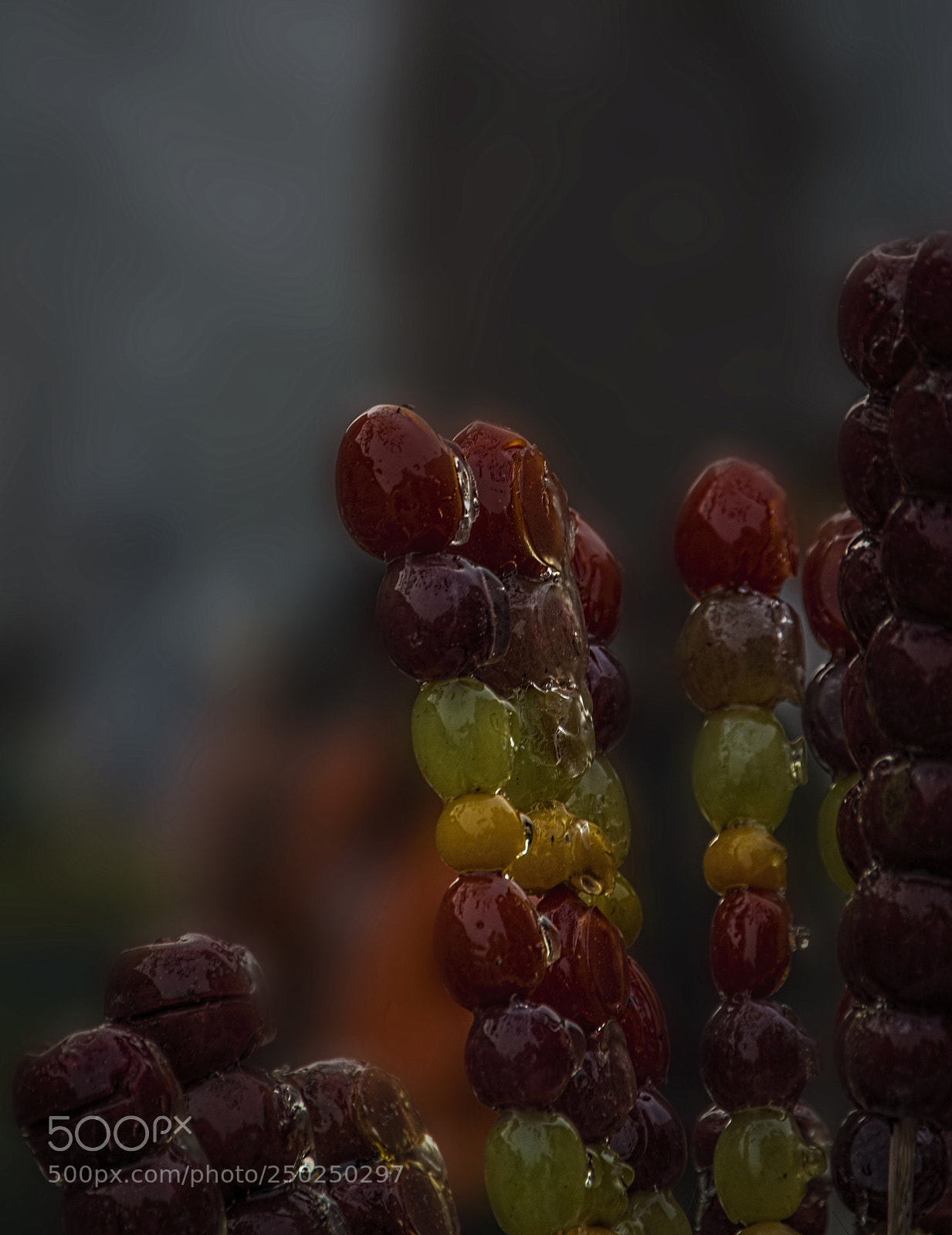 Nikon D5200 sample photo. Delicious! photography