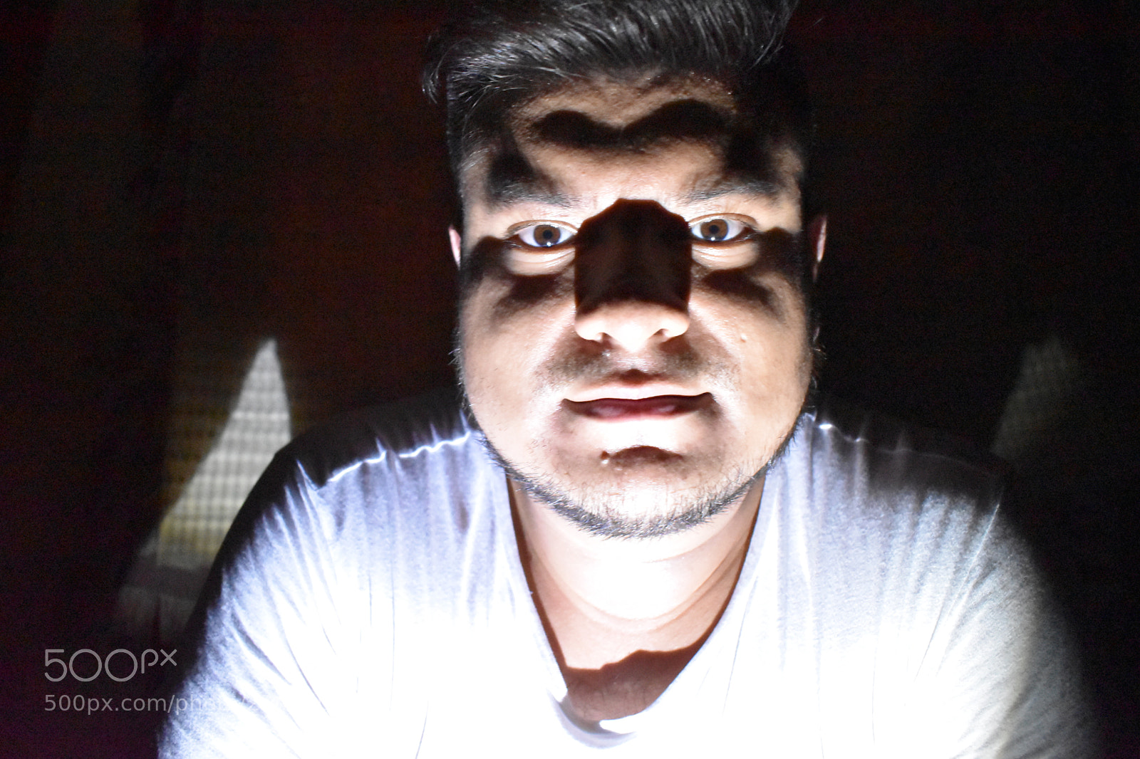 Nikon D5600 sample photo. Luz frontal photography