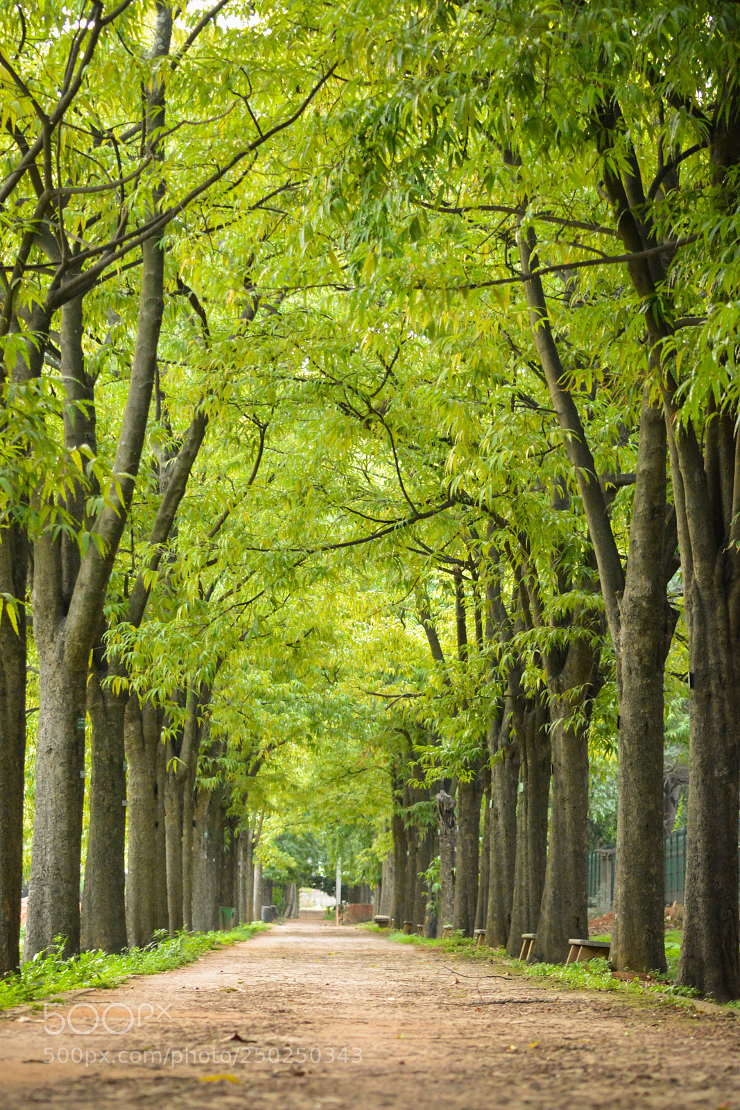 Nikon D5200 sample photo. The empty street-road with photography