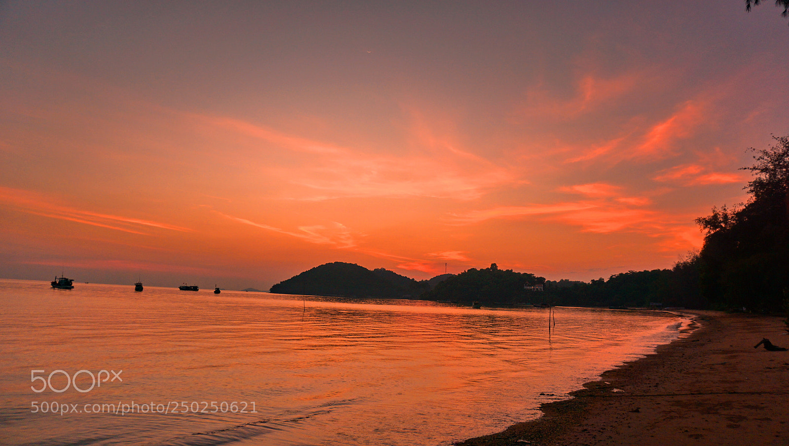 Sony a6000 sample photo. Dsc photography