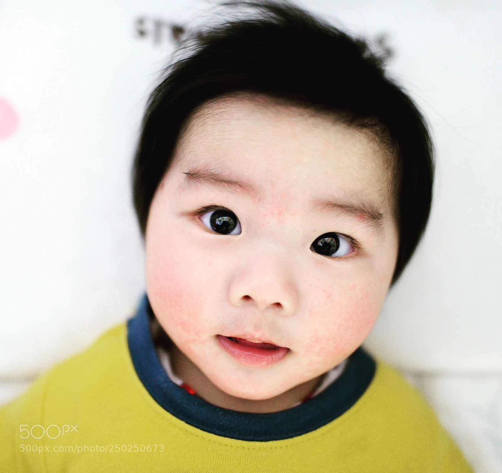 Nikon D800 sample photo. Untitled photography