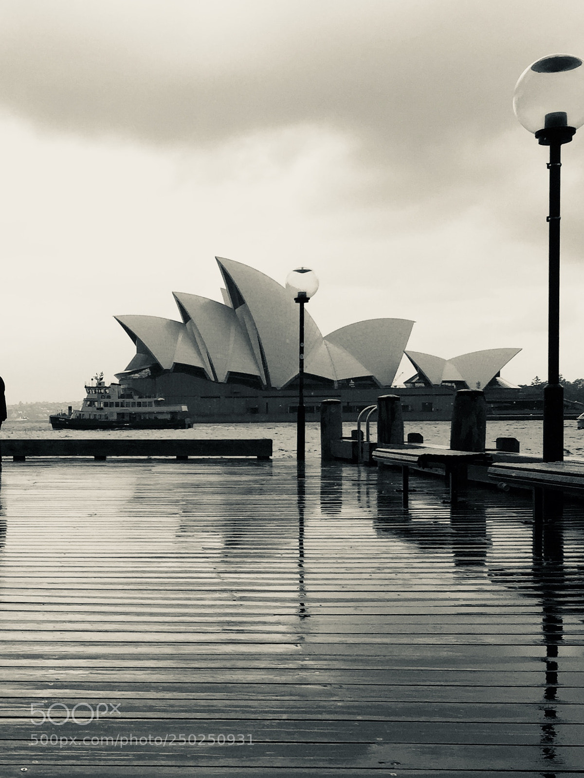 Apple iPhone 6 sample photo. Rainy day photography