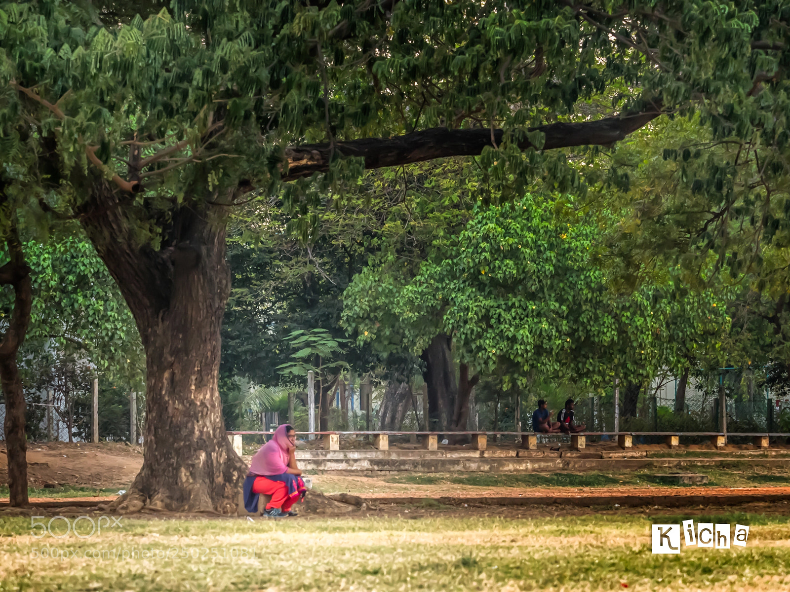 Olympus OM-D E-M5 II sample photo. Ymca nandanam photography