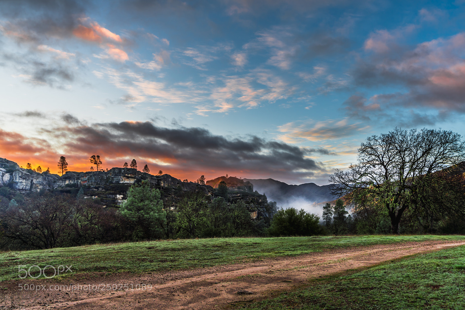 Sony a7R III sample photo. Los padres national forest photography