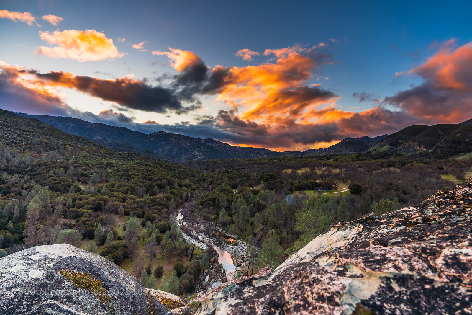 Sony a7R III sample photo. Los padres national forest photography