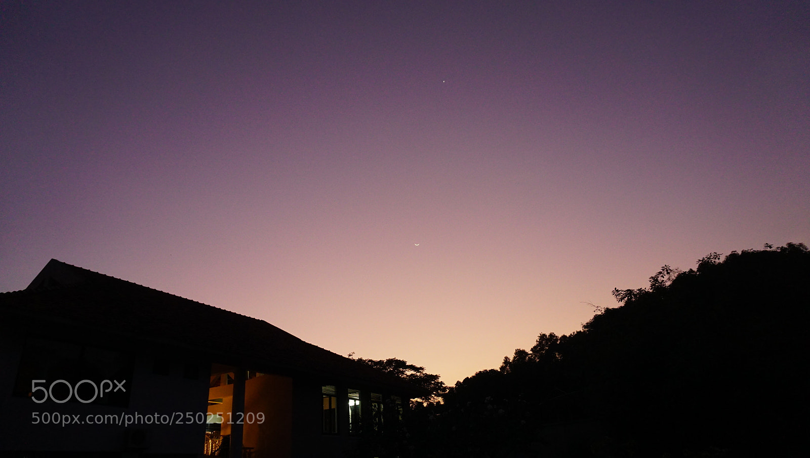 Sony a6000 sample photo. Violet night photography