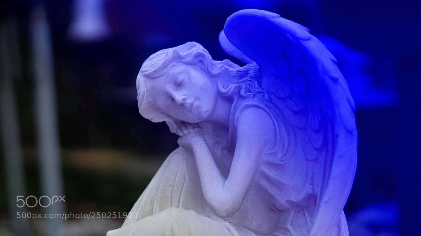 Sony a6000 sample photo. Sleeping angel photography