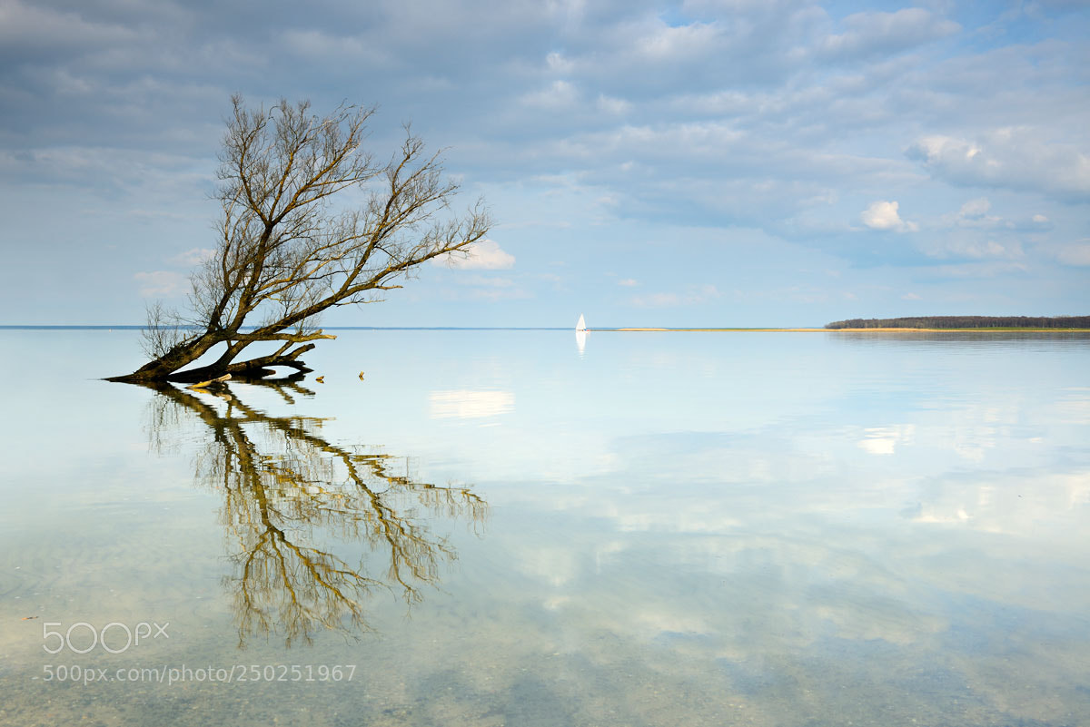 Nikon D800 sample photo. White sail photography