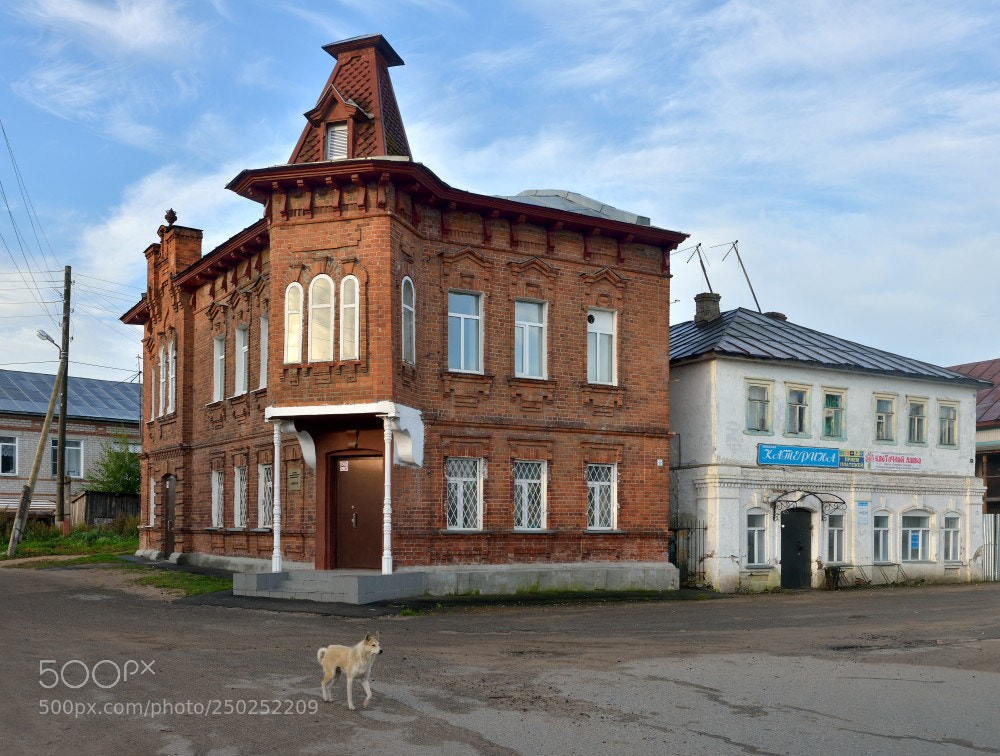Nikon D800 sample photo. Устье Кубенское. #6 photography