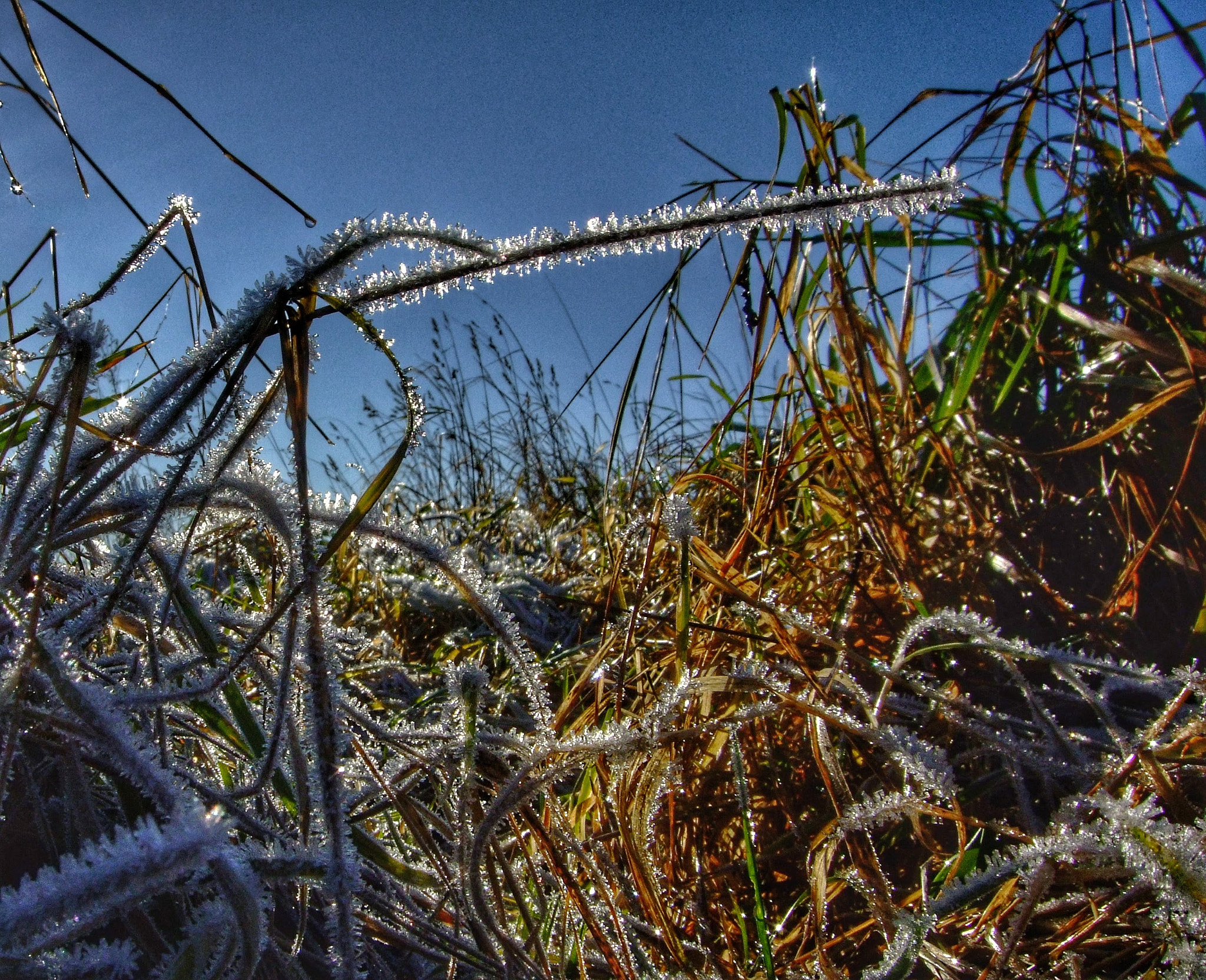 Fujifilm FinePix F50fd sample photo. Cold photography