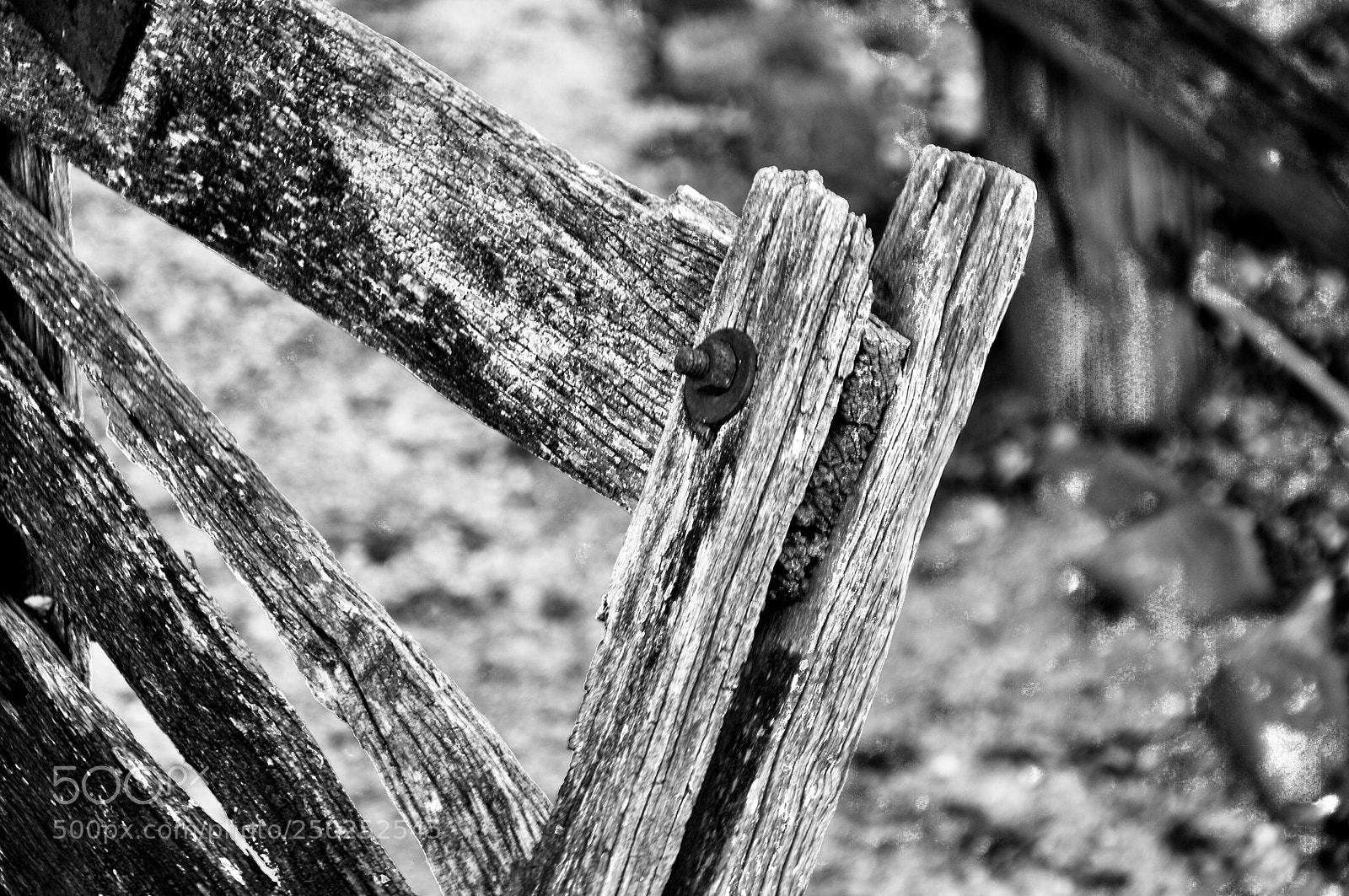 Nikon D90 sample photo. An old broken gate photography