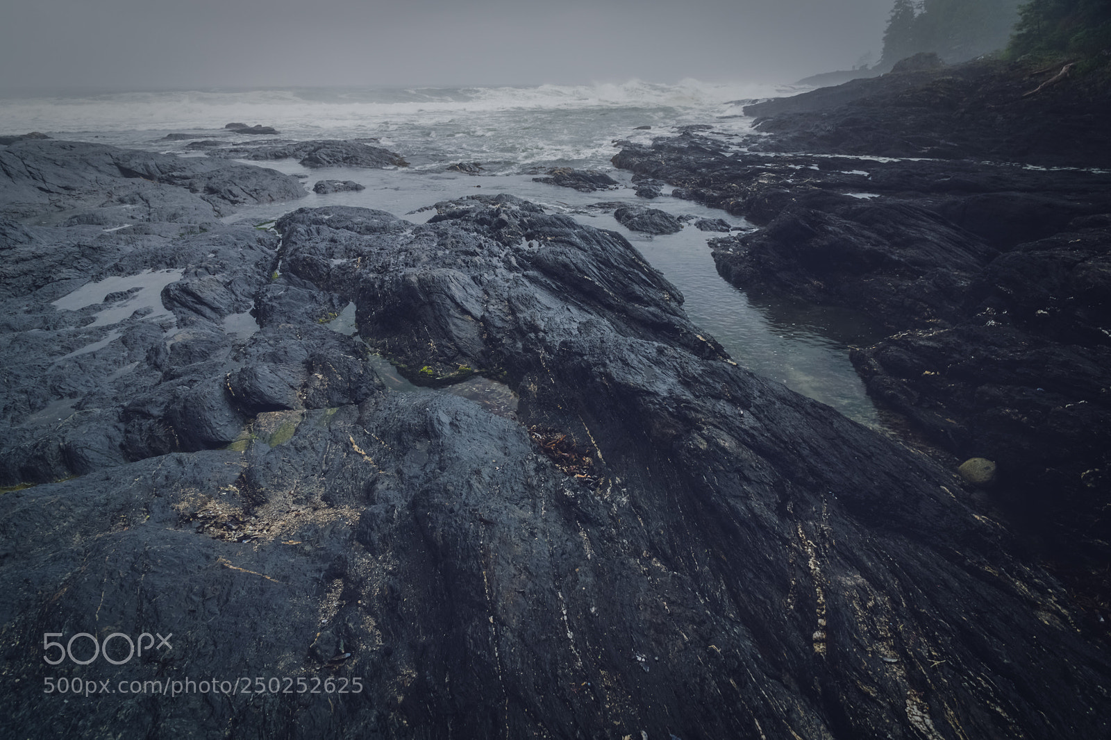 Sony Alpha NEX-7 sample photo. Mood photography