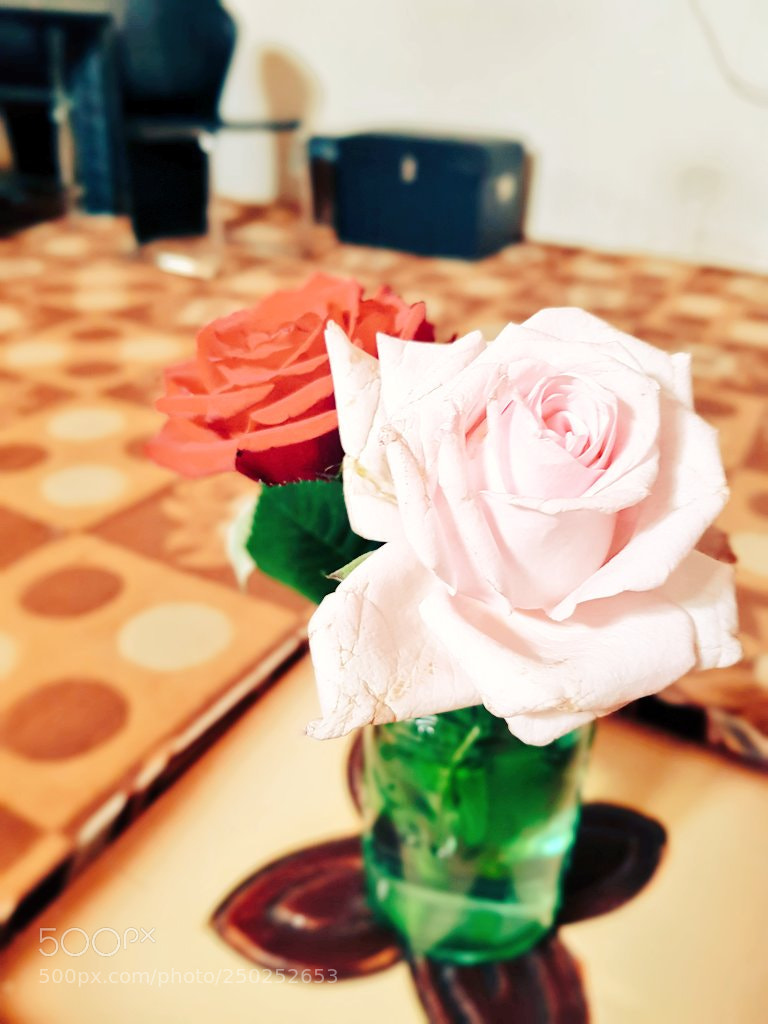 Samsung Galaxy S8+ sample photo. Untitled photography