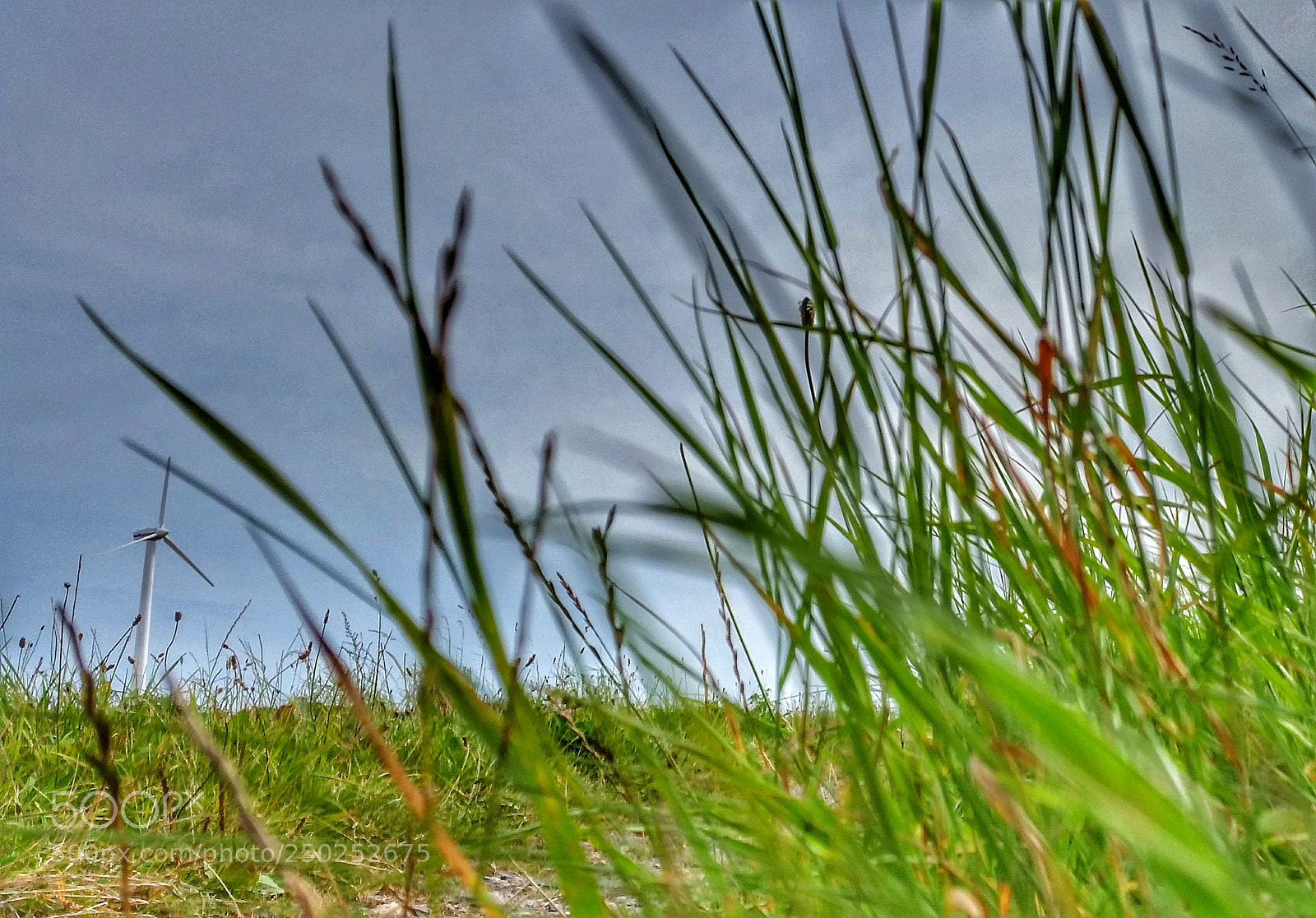 Samsung Galaxy S5 sample photo. Windpower ! photography
