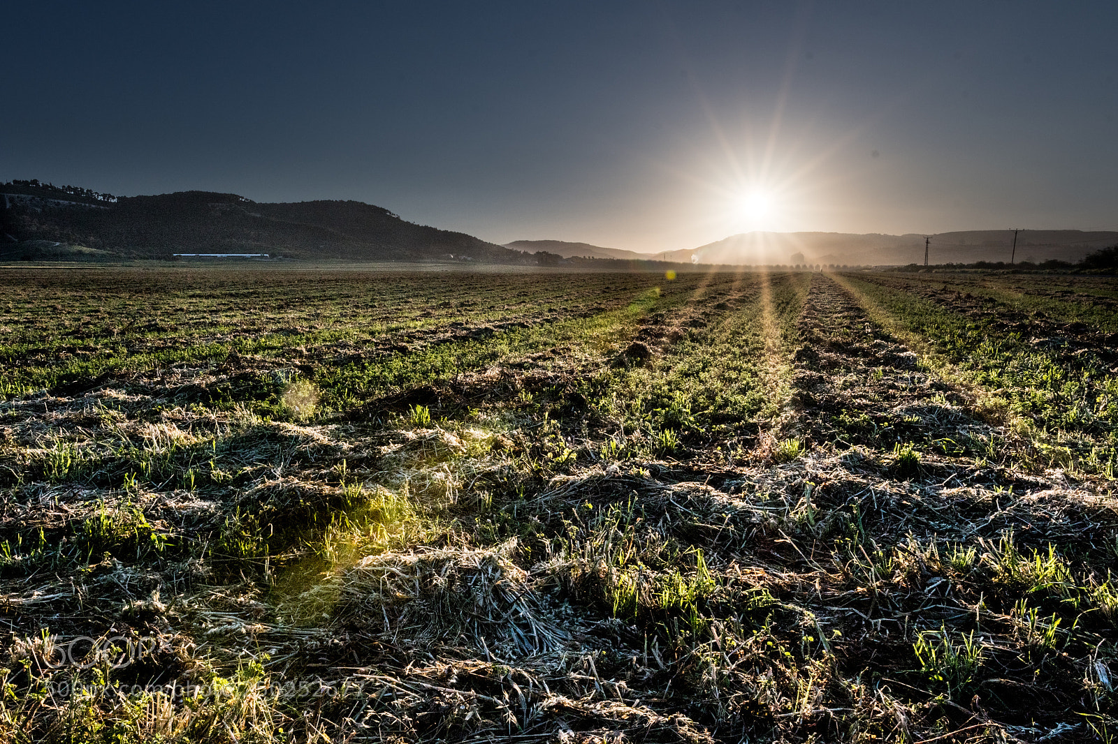 Nikon D500 sample photo. Harvest photography