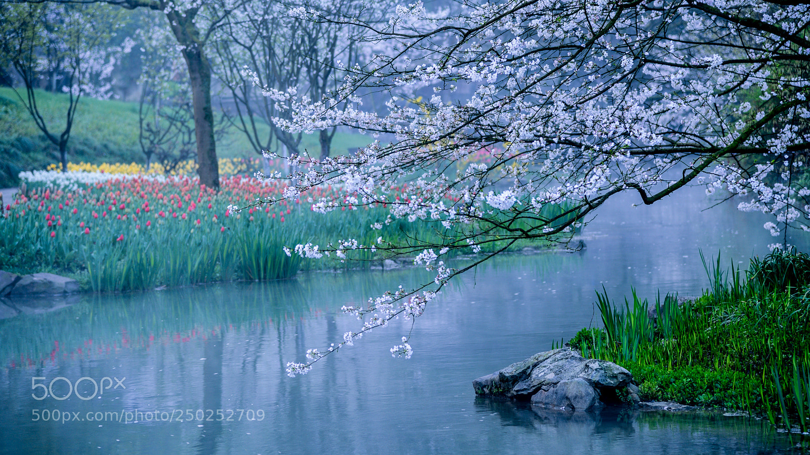 Nikon D810 sample photo. 副本 photography
