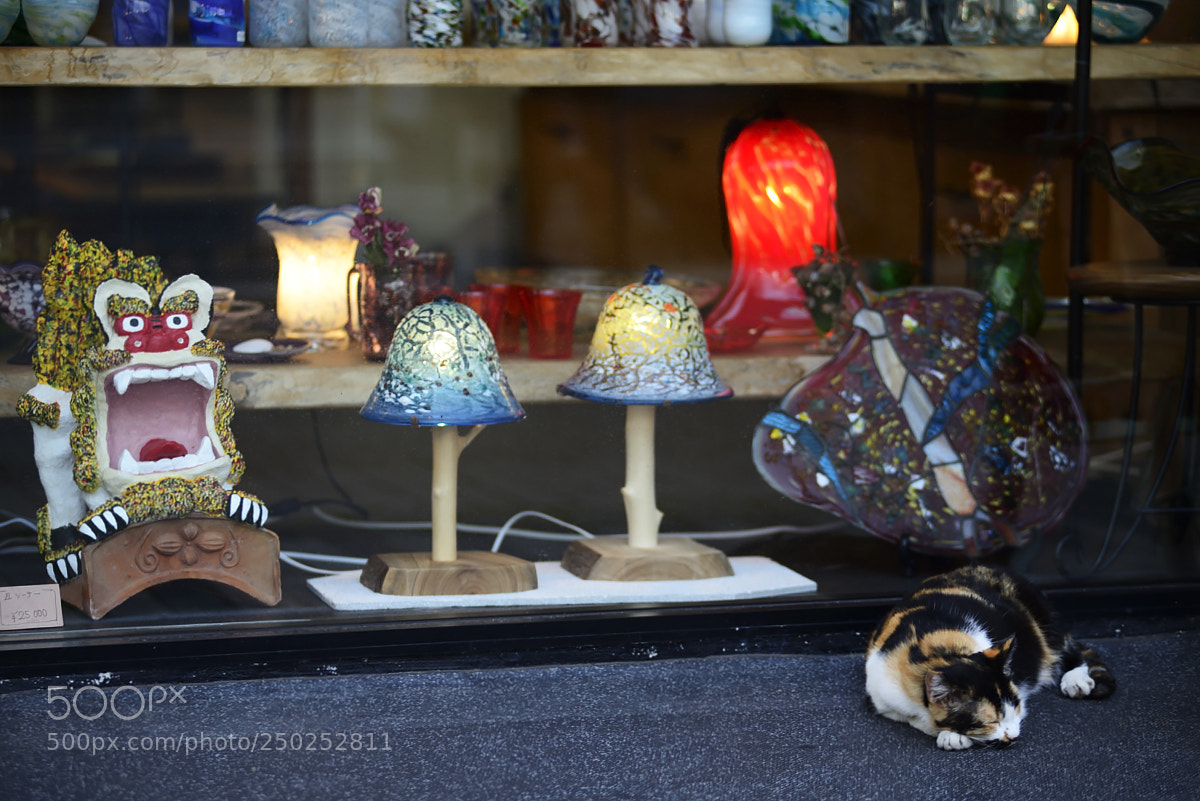 Nikon D610 sample photo. Sleeping photography