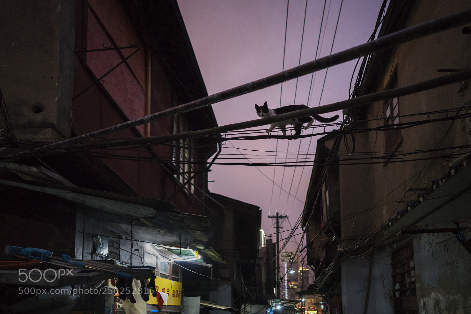 Sony a7R II sample photo. Untitled photography