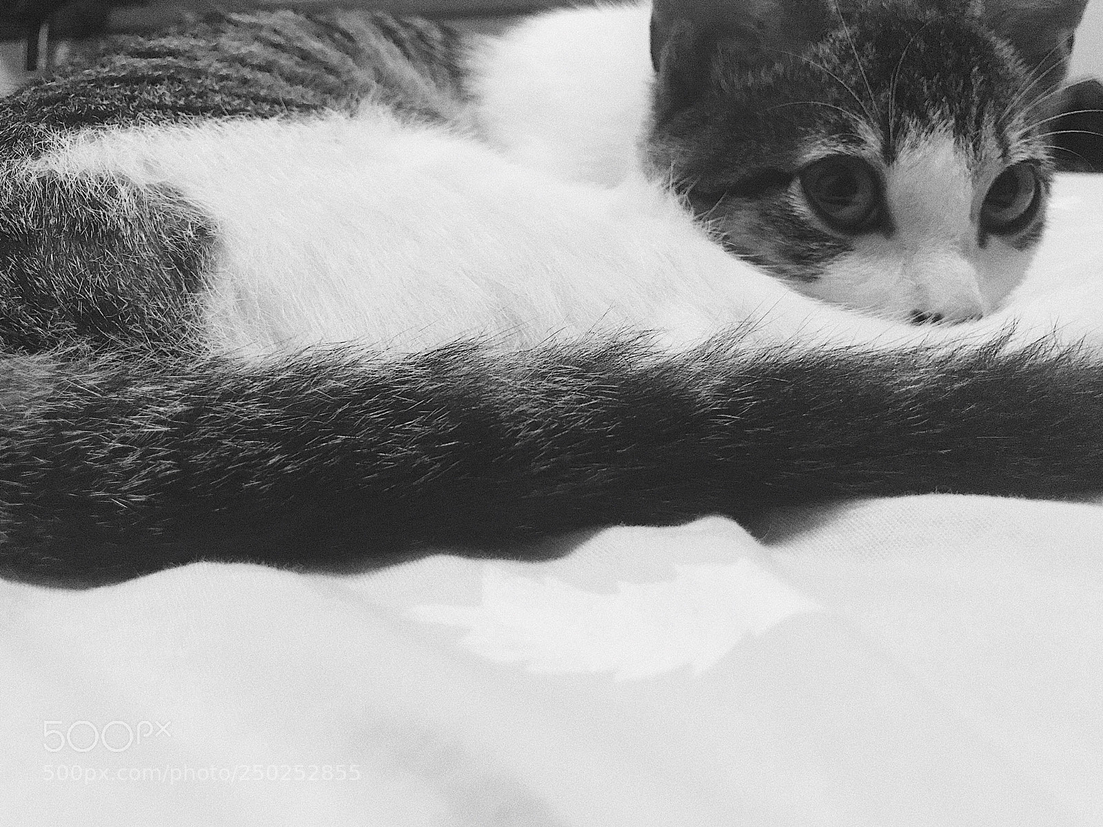 Apple iPhone 7 sample photo. Processed with vsco with photography