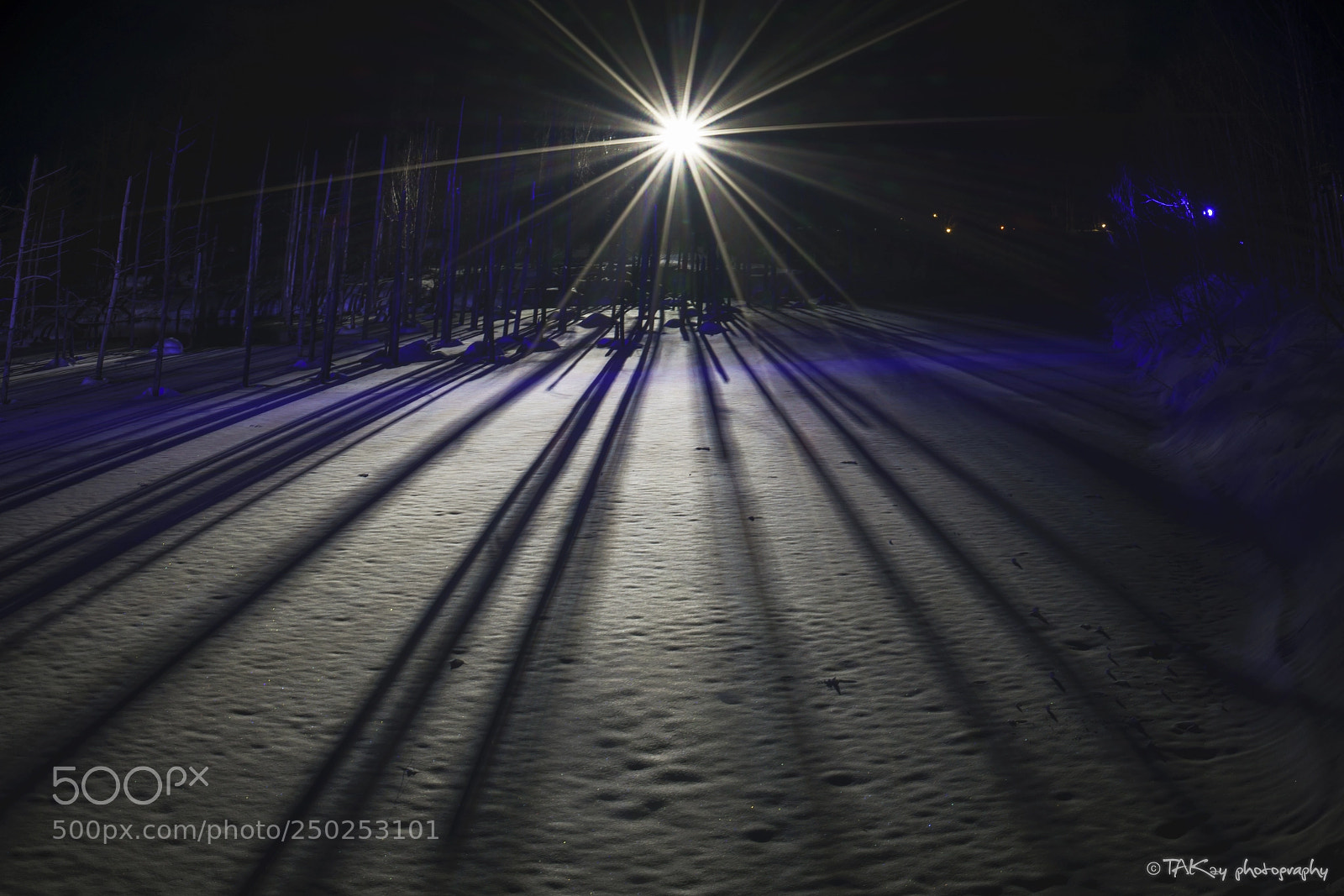 Sony a7R II sample photo. Shadows photography