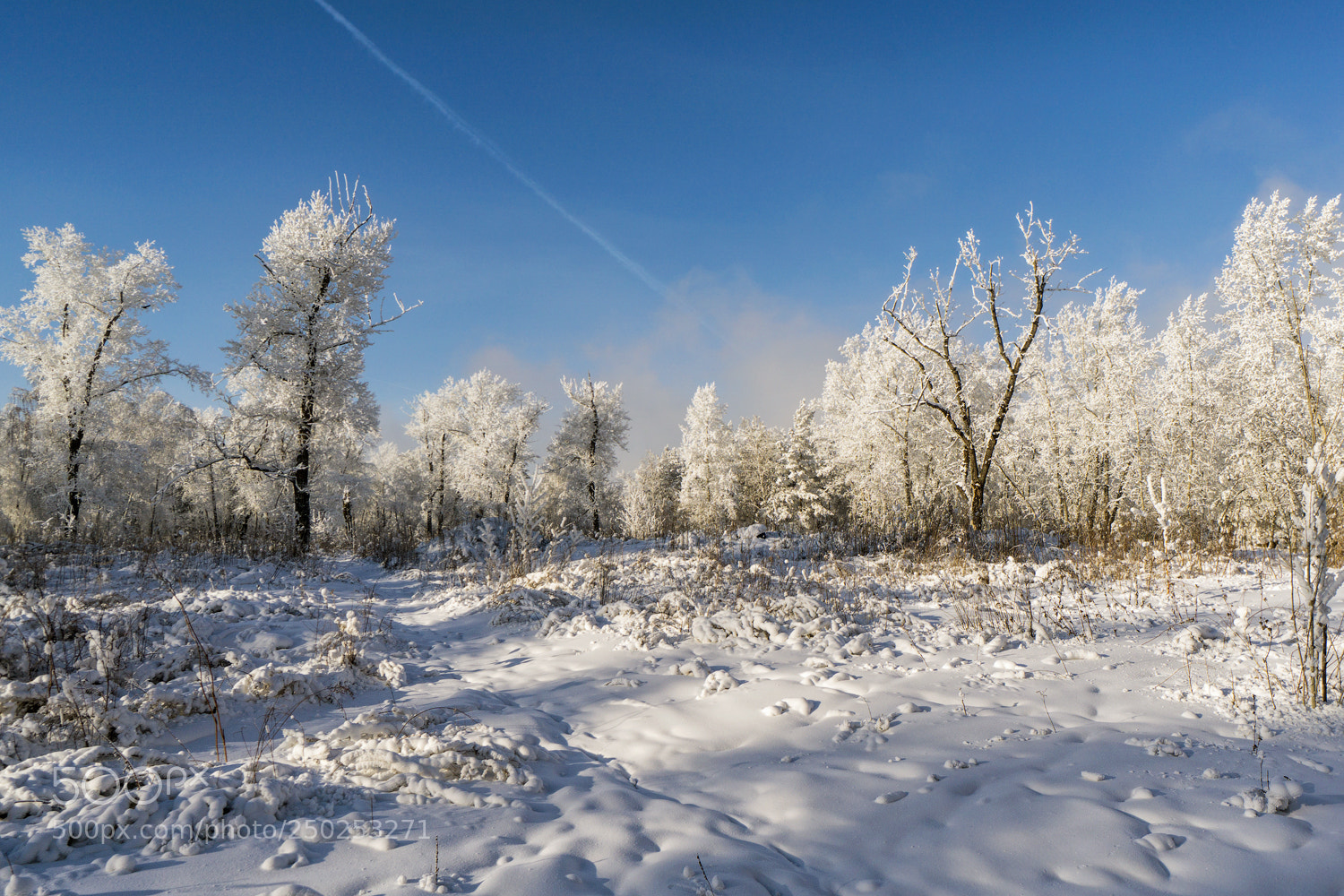 Sony a6000 sample photo. Зимний день photography
