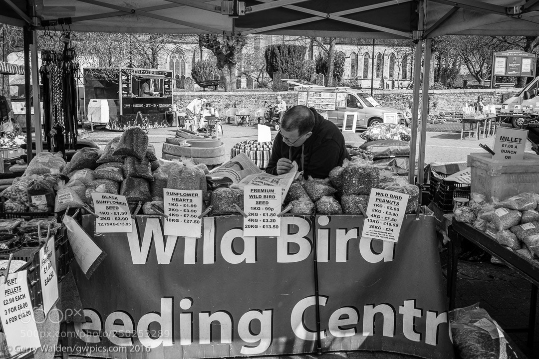 Fujifilm X-Pro1 sample photo. Wild bird feeding centre photography