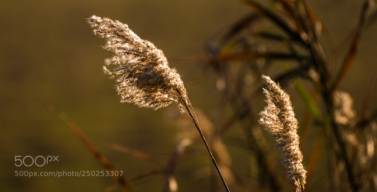 Nikon D500 sample photo. Sunrise photography