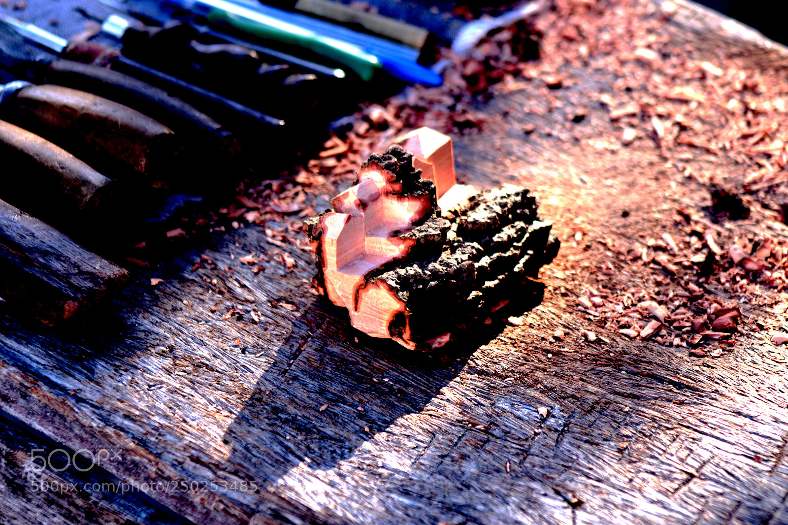 Canon EOS 700D (EOS Rebel T5i / EOS Kiss X7i) sample photo. Wood photography