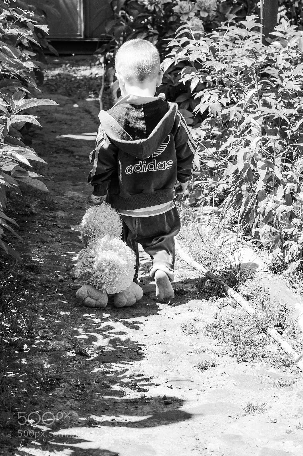 Canon EOS 600D (Rebel EOS T3i / EOS Kiss X5) sample photo. Lonely steps to dreams photography