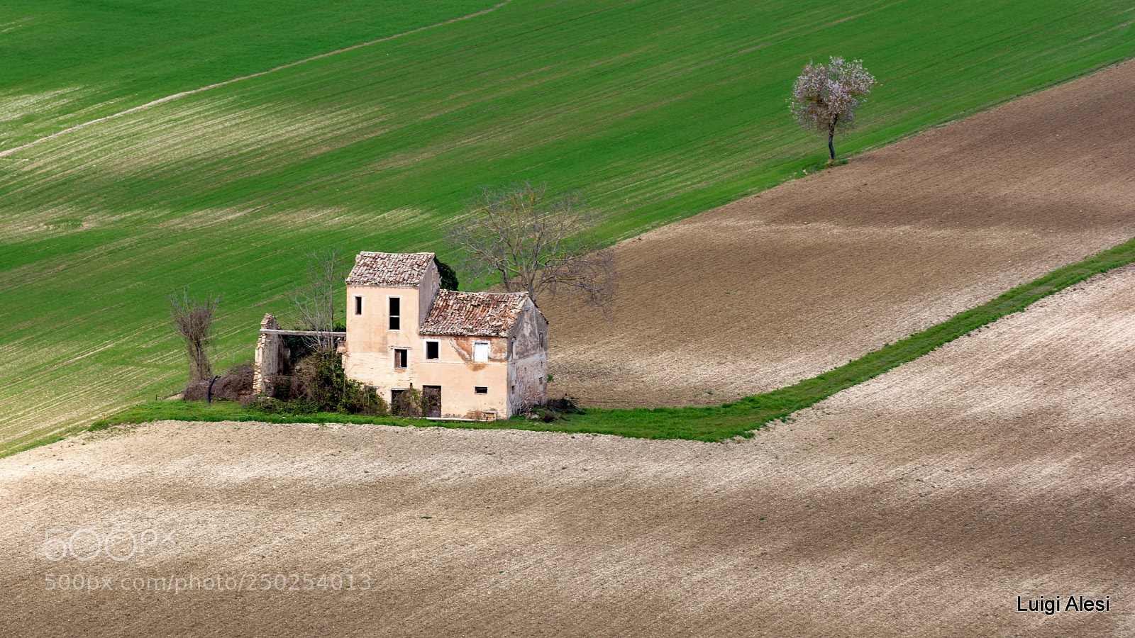 Nikon D7100 sample photo. Old house photography