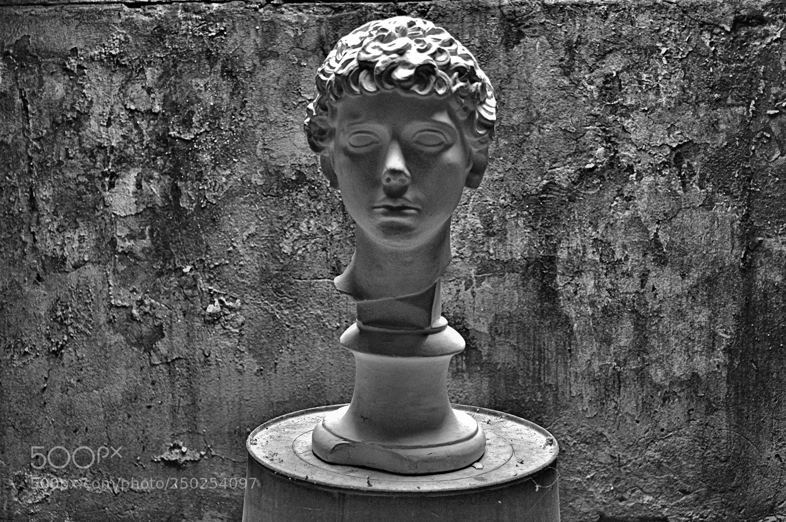 Nikon D5000 sample photo. Head photography
