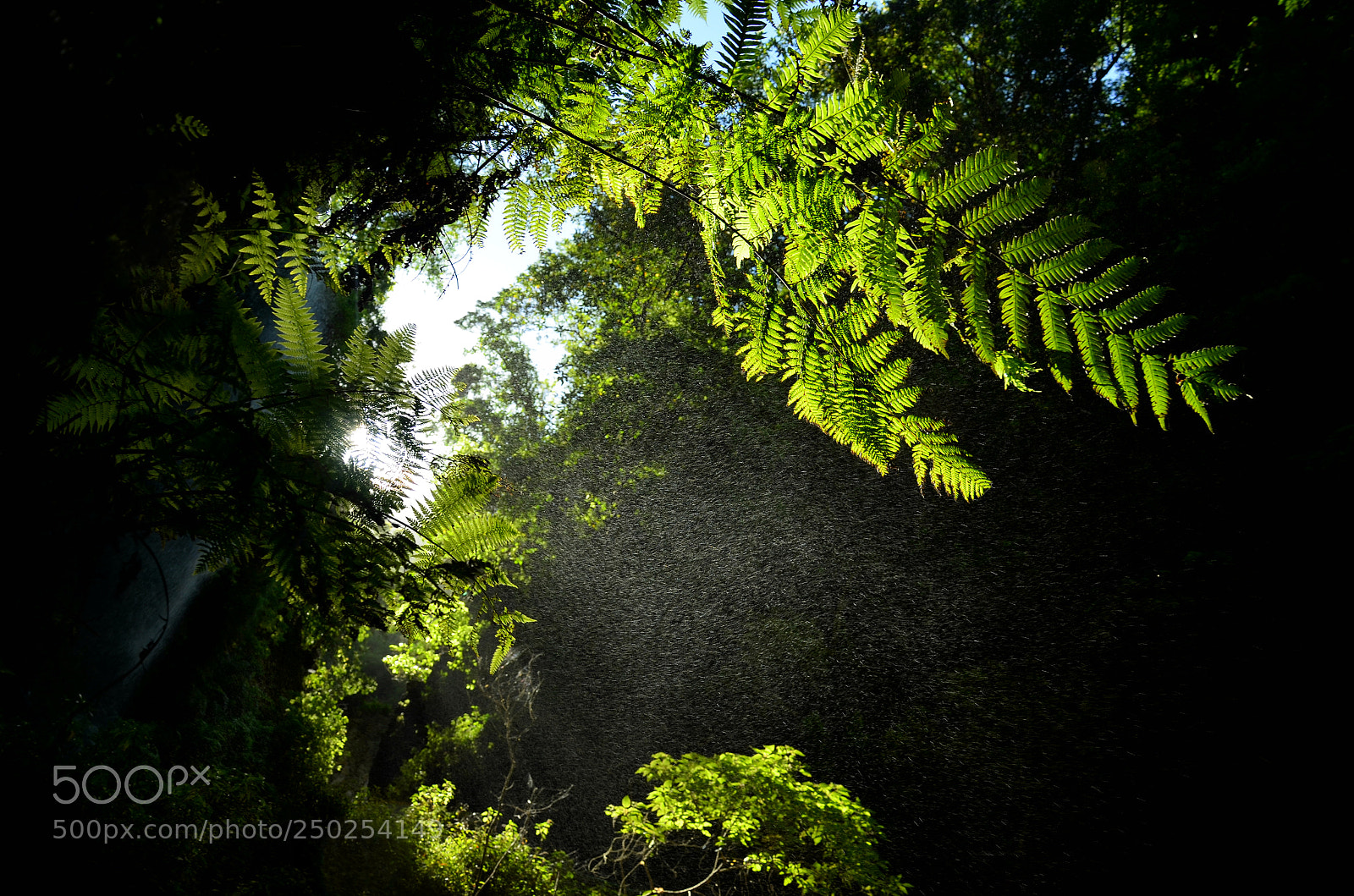 Nikon D5100 sample photo. Farndunst photography