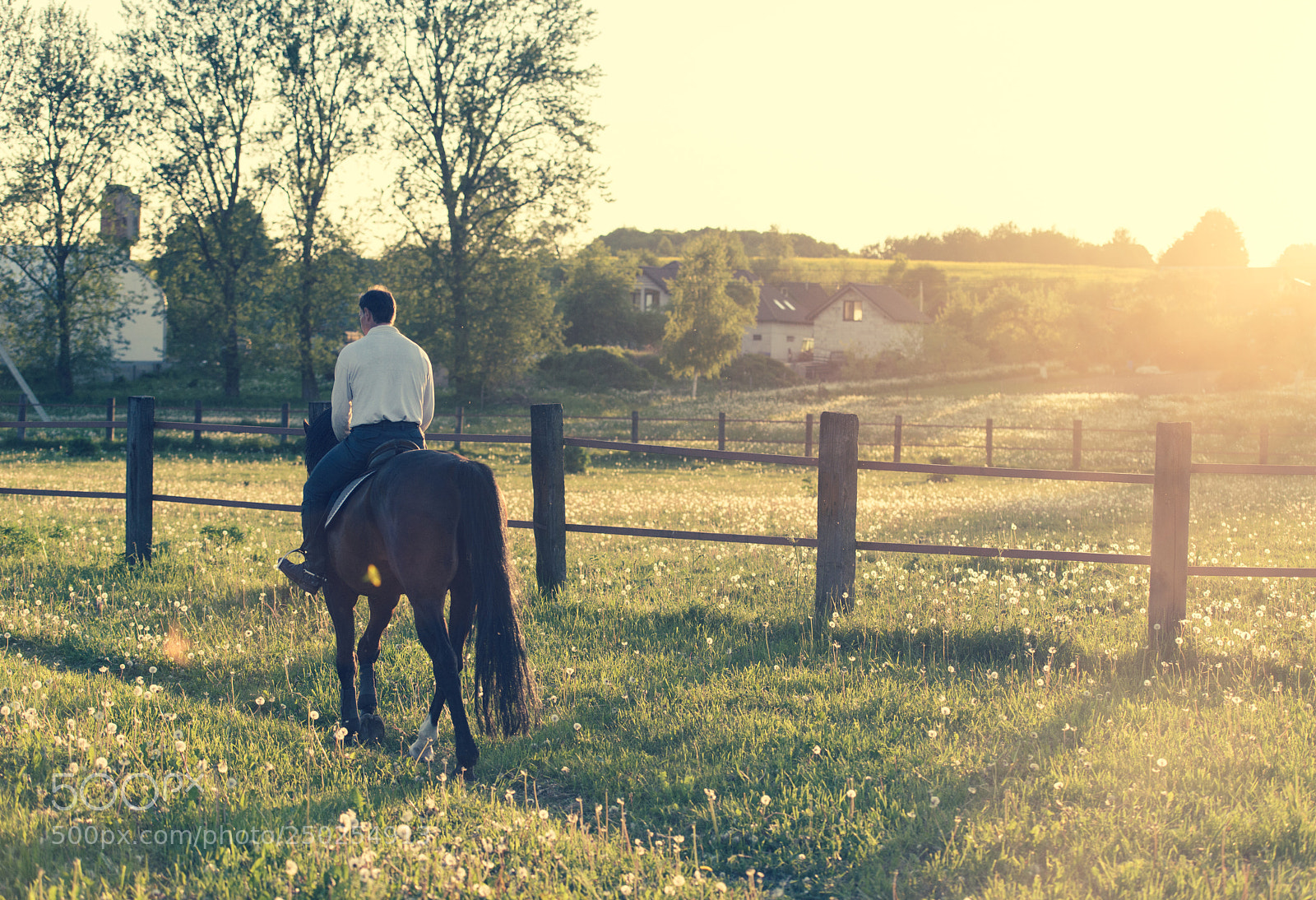 Nikon D800E sample photo. Untitled photography